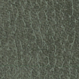 Vintage Ecoleather