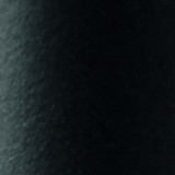 Black Seel