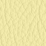 Fiore Leather